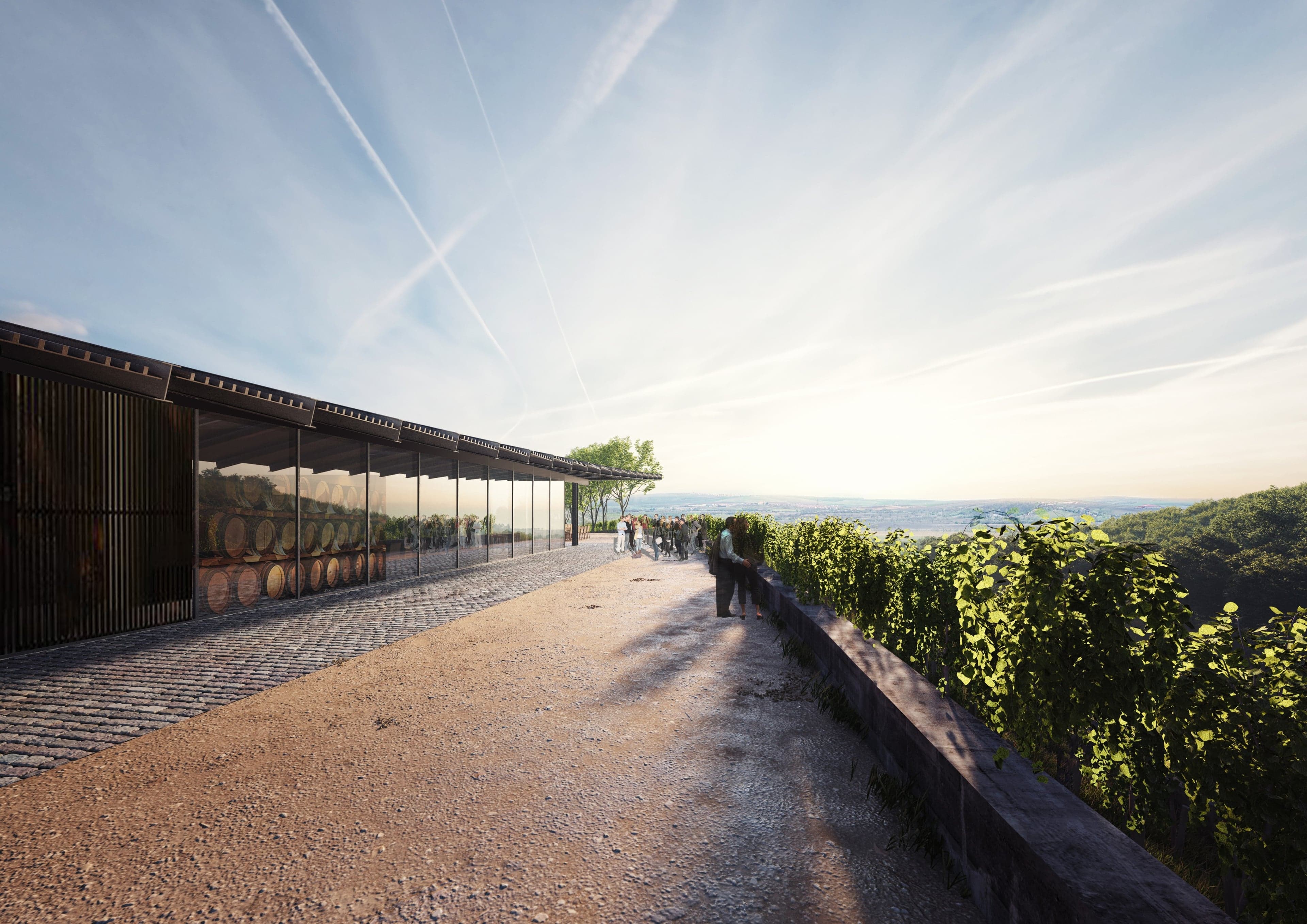 Energetická náročnost budov pro Vinařství Arte Vini Velké Pavlovice