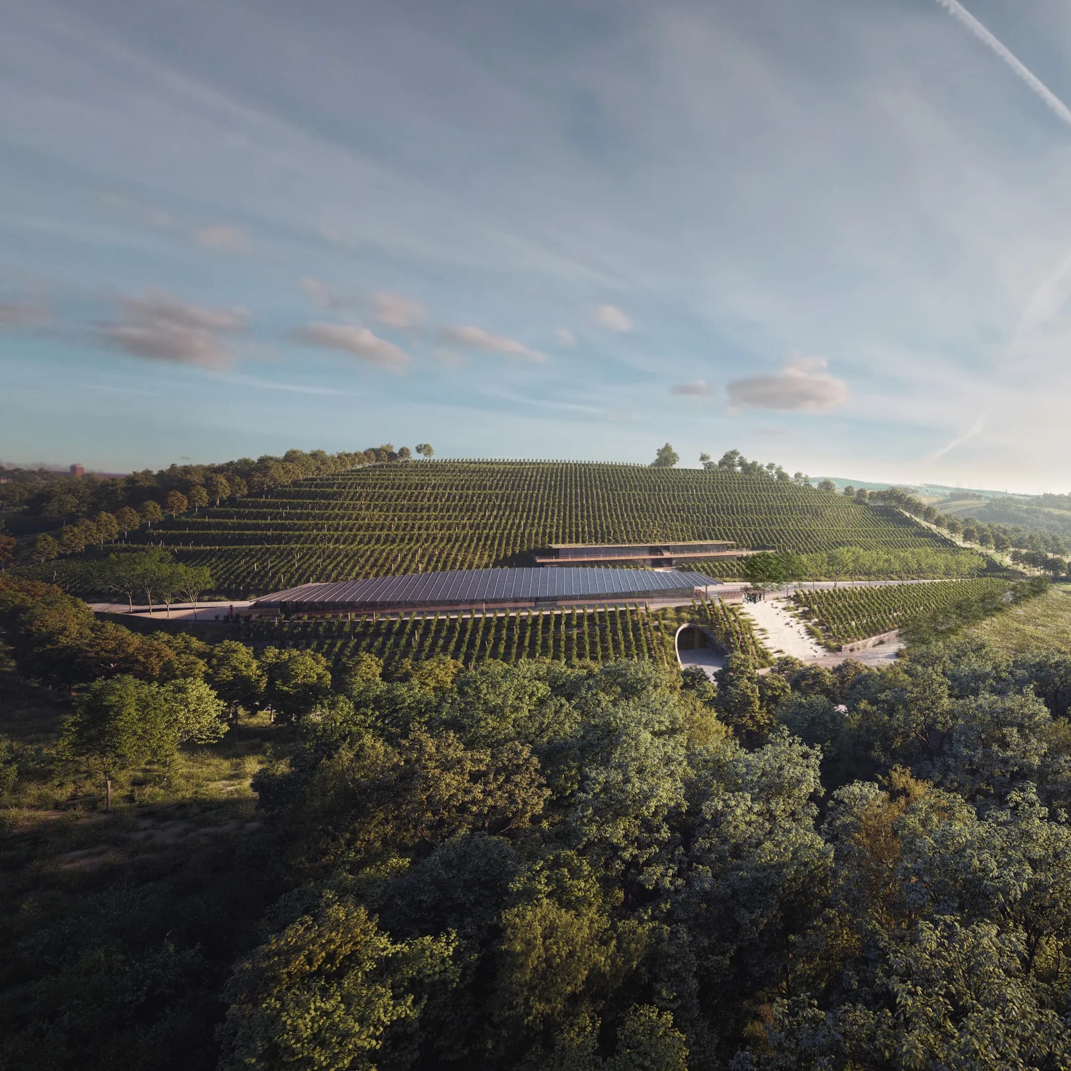 Energetická náročnost budov pro Vinařství Arte Vini Velké Pavlovice
